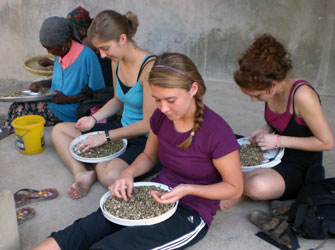 Mission Workers helping with coffee beans