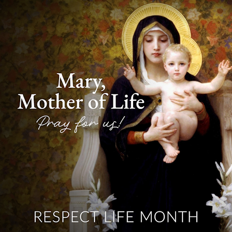 St. Cyril of Alexandria School